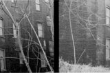 Wall with Windows Lower East Side 1987